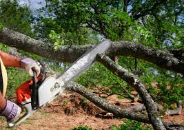 Best Utility Line Clearance  in Chico, TX